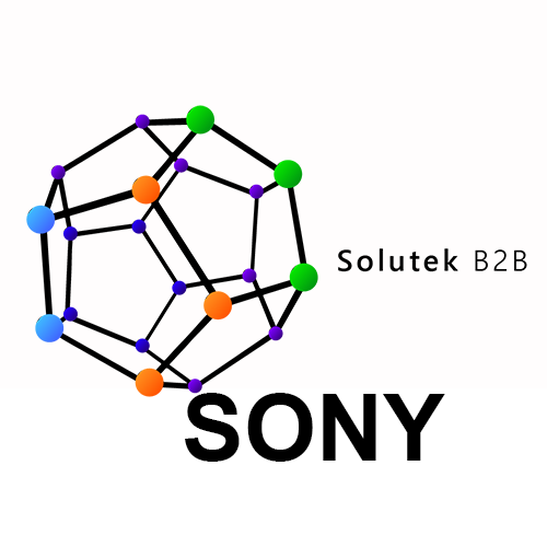 soporte técnico de computadores Sony